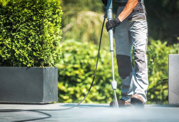 Best Window and Screen Pressure Cleaning in Cleary, MS