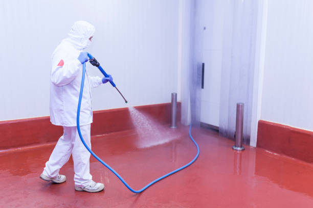 Best Brick and Stone Cleaning in Cleary, MS