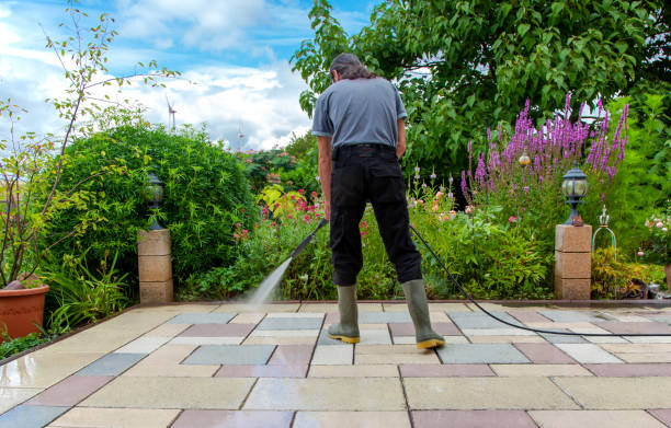 Best Sidewalk and Walkway Pressure Cleaning in Cleary, MS